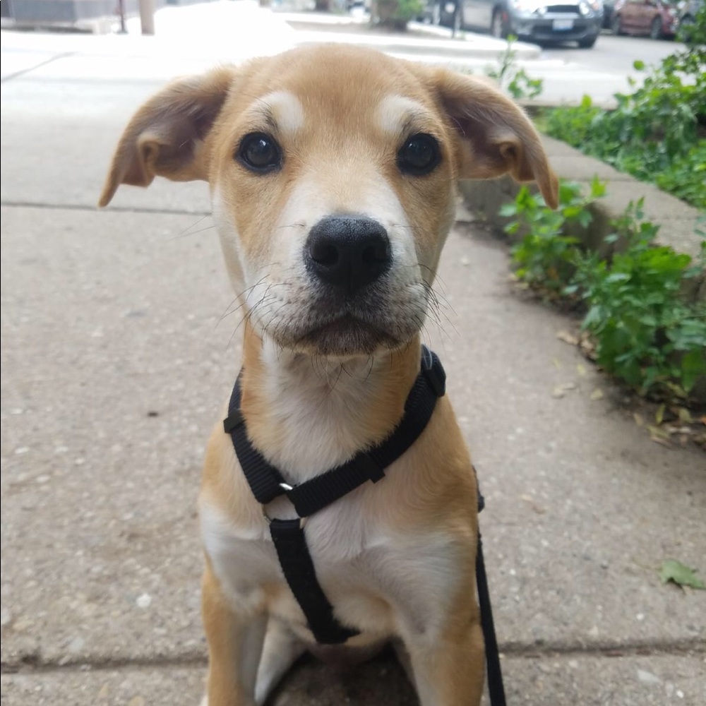 Meet your Posher, Tiffany